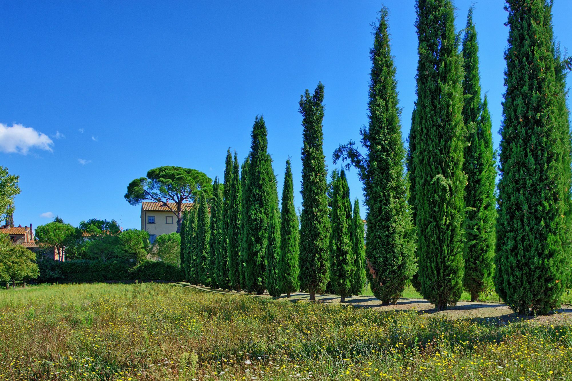 Villa Giovi Arezzo Exterior photo