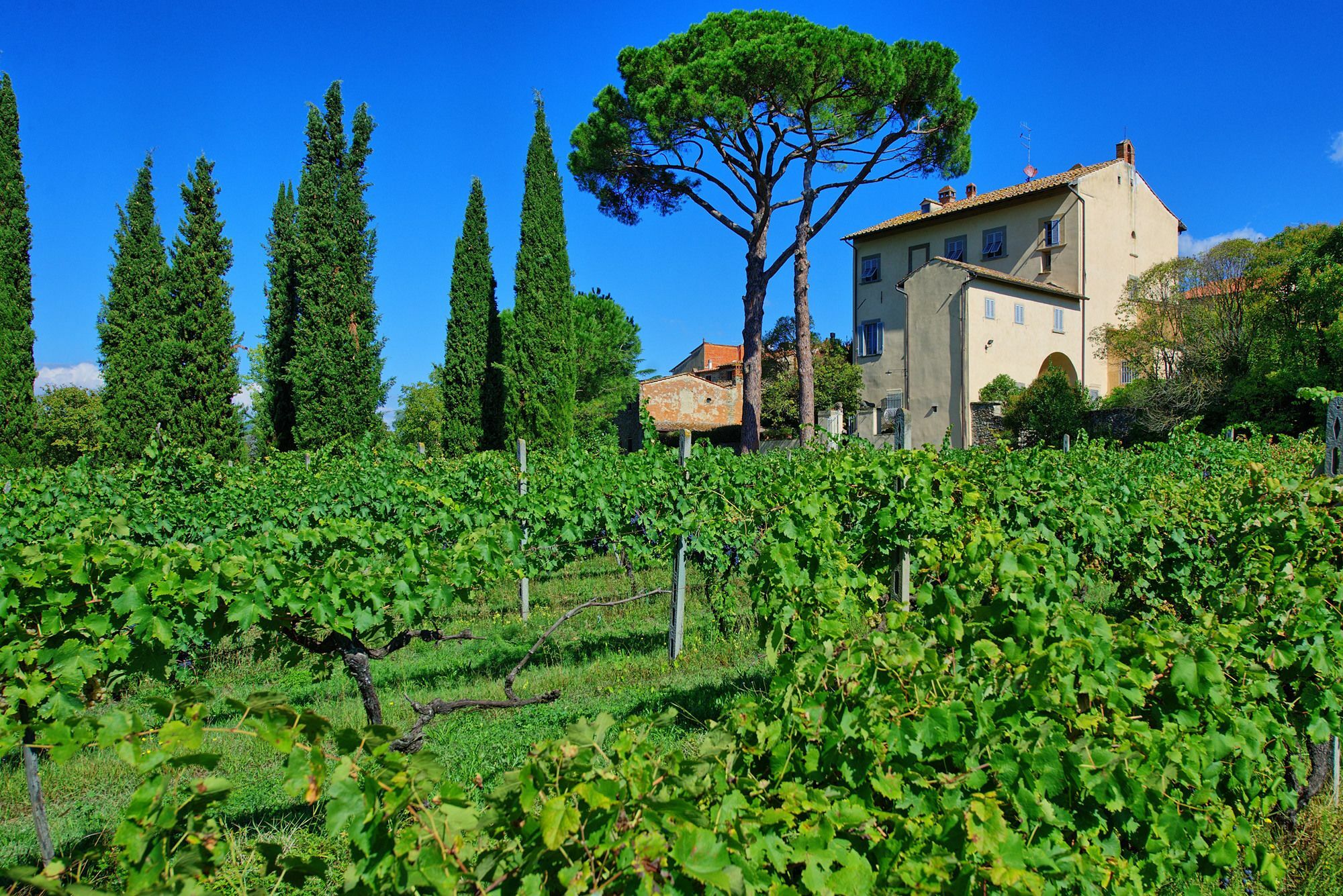 Villa Giovi Arezzo Exterior photo